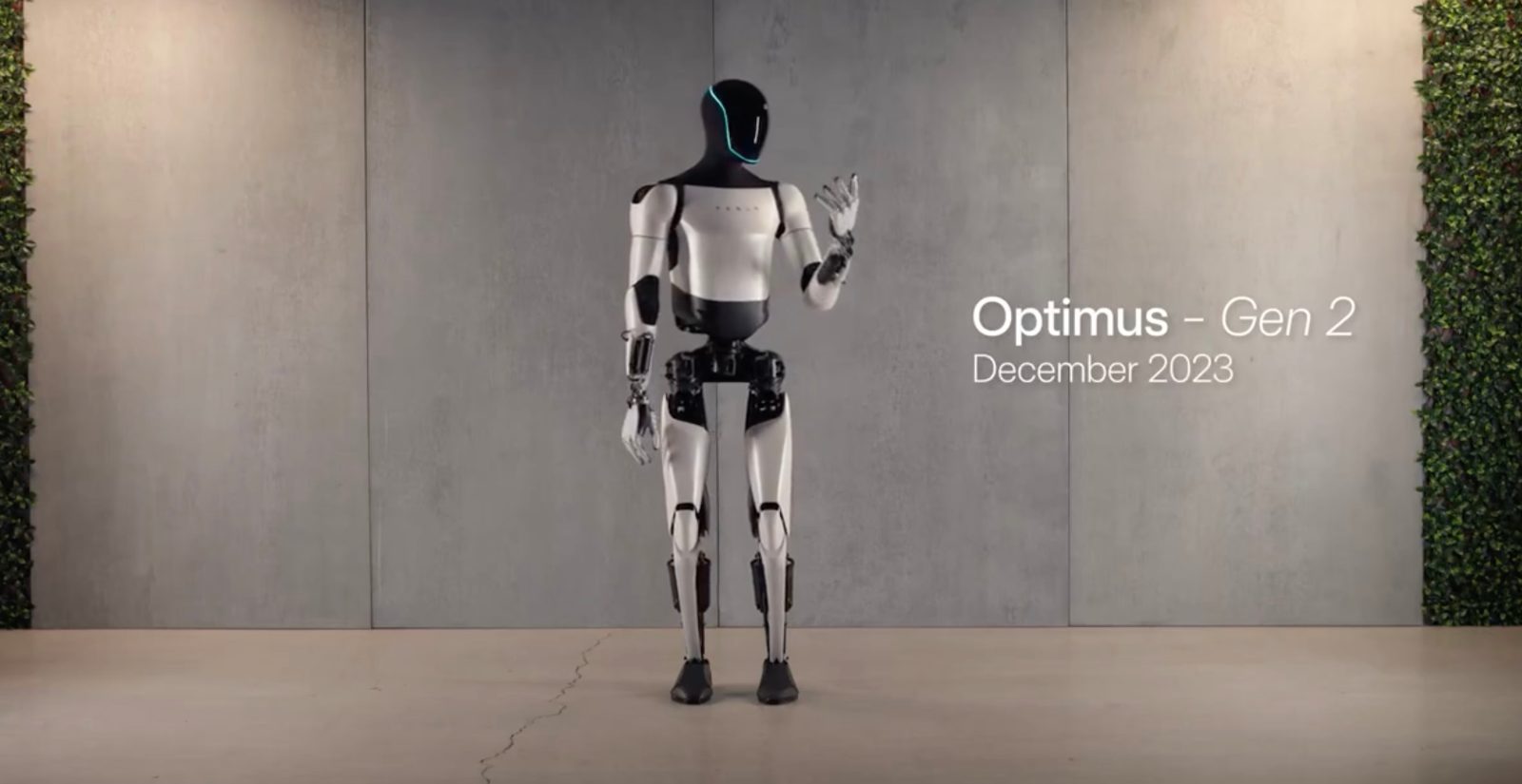 Optimus i humanoid Tesli w ruchu